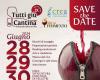 In Velletri there is great excitement for the new edition of “Tutti Down in the Cellar”