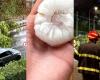 the damage of the storm in Milan, including water bomb and giant hail