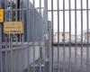 36-year-old escapes from Livorno prison in broad daylight, unions attack the government: “Disaster”