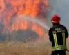 Forest fires in Puglia: the report from the Fire Brigade – Pugliapress