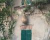 A “lion” and more internal gardens: doors open at the Bagioli house / Cesena / Home