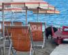 Reportage among the beaches of Savona attacked by wild boars: here are the stories of the swimmers