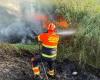 Fight against forest fires in Gravina: a union ordinance establishes obligations and prohibitions