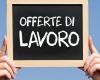 Are you looking for work in Trentino? Here are the offers for Monday 24 June