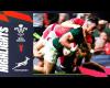 South Africa v Wales 41-13 | Test Match