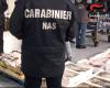 Seizure of fish products in Mazara del Vallo: almost a ton of goods blocked by the Carabinieri