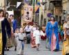 Arezzo events today 25 June 2024: what to do in the city