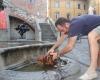 Prato among the worst cities in Italy for environmental liveability values ​​The Tyrrhenian Sea