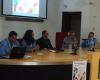 Reflections on Differentiated Autonomy: Social Impacts and Civic Engagement in Lamezia Terme