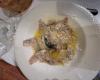 Cremona Sera – Tortelli Cremaschi, wholemeal version of Balurdù, well they are a sweet temptation to dare