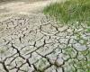 Drought, over 32 million euros destined for Calabria: here are the planned interventions