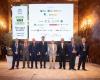 OOWC 2024 – Madrid, world capital of olive oil – PugliaLive – Online information newspaper