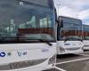Public transport, AT: changes to the service in the province of Livorno – Livornopress