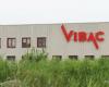 Vibac, another 6 months of CIGS, layoffs blocked for now