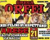 Circo Greca Orfei in Varese 2024