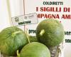 Coldiretti Puglia: “More and more Italians are asking for biodiverse menus”