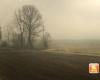 Today fog, Wednesday 3 scattered clouds, Thursday 4 clear » ILMETEO.it