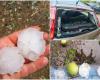Bad weather in Basilicata, large hail in Metapontino: lots of damage