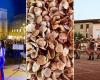 Festivals and fairs of July 2024 in Emilia Romagna: where to go and when