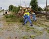 Bad weather: damage also in Friuli-Venezia Giulia
