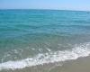Toxic Algae in the Sea, Bathing Ban Triggered in Calabria