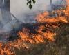 Forest fire risk in Emilia Romagna, the attention phase starts